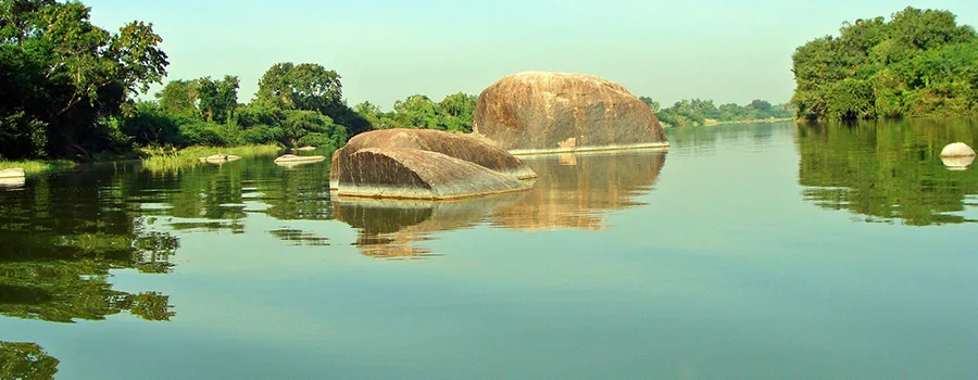 <?php echo Tempo traveller hire in Raichur for elderly tourists ?>