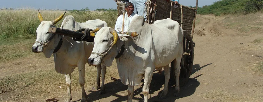 <?php echo Intergenerational travel packages in Raichur ?>