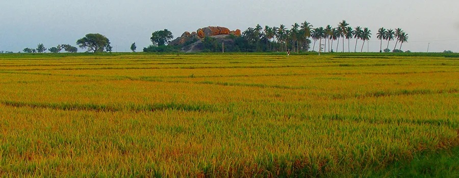 <?php echo Care and support travel for seniors in Raichur ?>