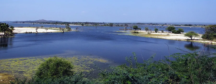 <?php echo Ayurveda and wellness retreats in Raichur with support ?>