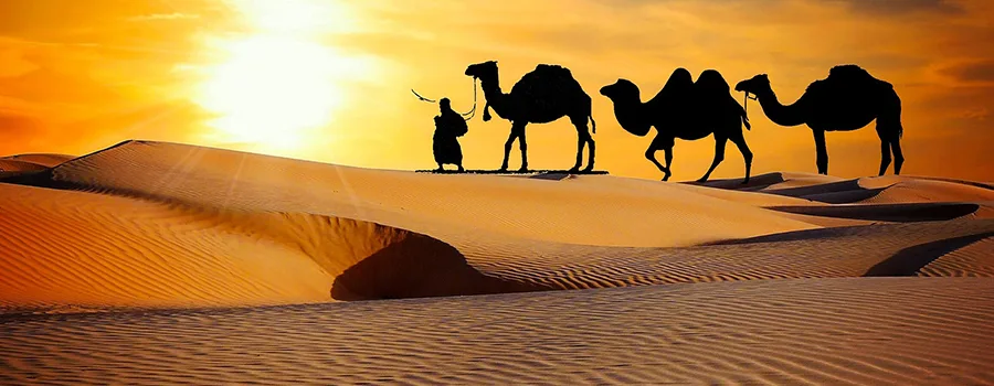 <?php echo Managed Rajasthan Vacation ?>