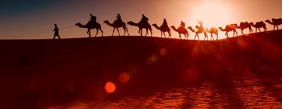 <?php echo Planned Rajasthan Holidays ?>