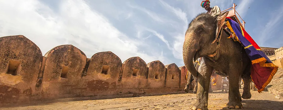 <?php echo Stress Free Rajasthan Holiday Packages ?>