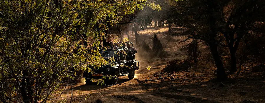 <?php echo Mount Abu Premium Package ?>