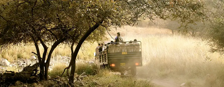 <?php echo Rajasthan Tour With Sightseeing ?>