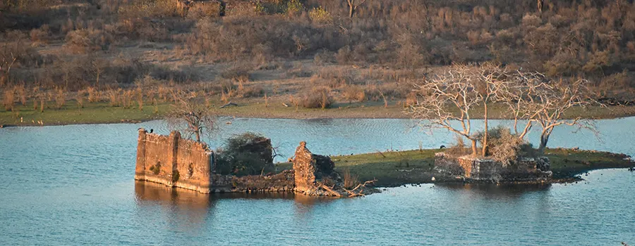<?php echo Jodhpur Heritage Tour Package ?>