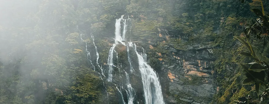 <?php echo Grandparent and grandchild travel to Shivamogga ?>