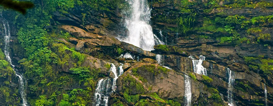 <?php echo Family-friendly destinations near Shivamogga for seniors ?>
