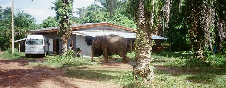 <?php echo Personal assistance tours for seniors in Shivamogga ?>