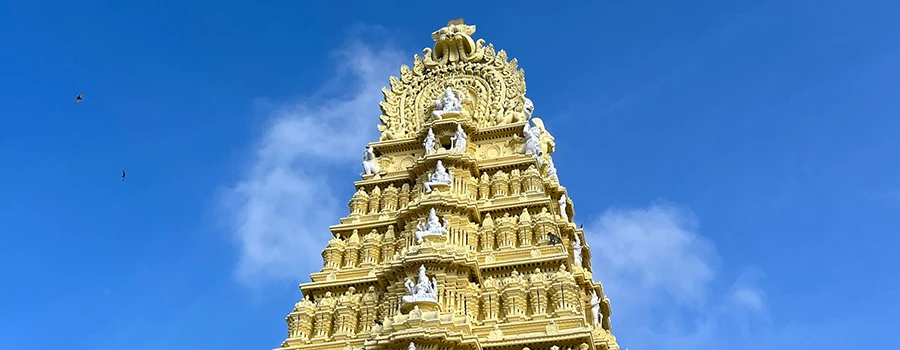 <?php echo Best Tumkur Travel For Seniors With Care And Support ?>