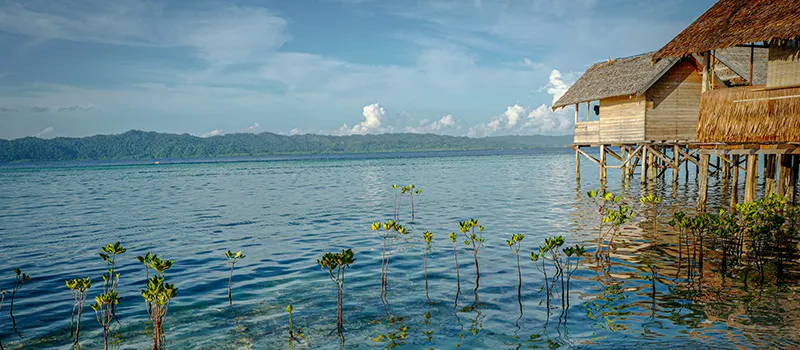 <?php echo Bali Family Vacation Deals with Resort Stay ?>
