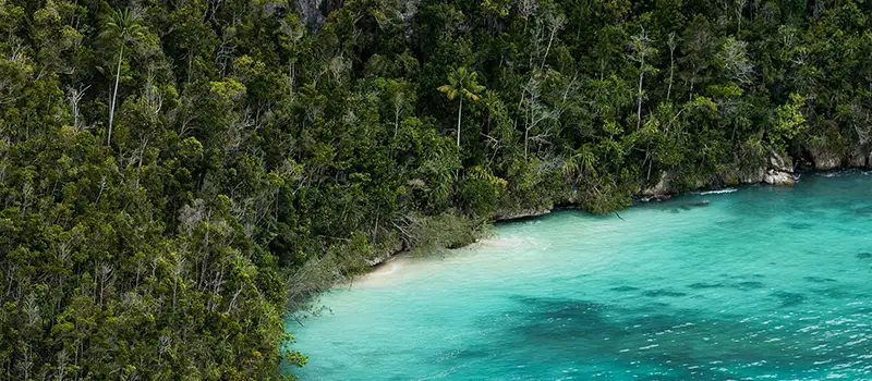 <?php echo 3 Nights Bali Best Tour Packages with Veg Meals ?>