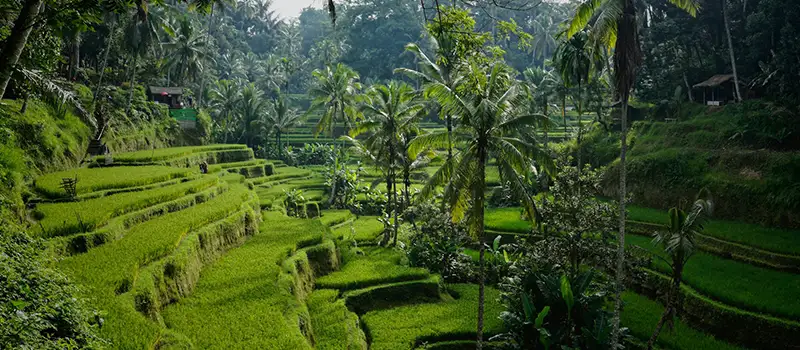 <?php echo 7N-8D Bali Island Hopping Tour ?>