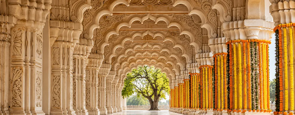 <?php echo Ram Janmabhoomi Darshan Package With Hotel ?>