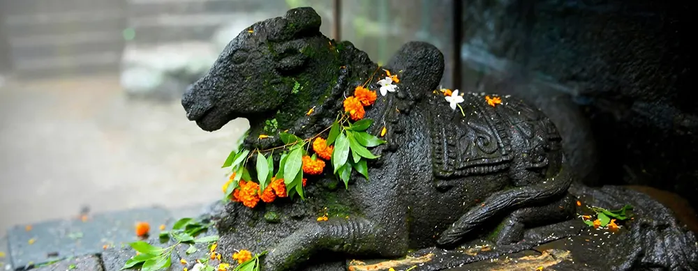 <?php echo Family pilgrimage to Bhimashankar Jyotirlinga with temple Darshan ?>