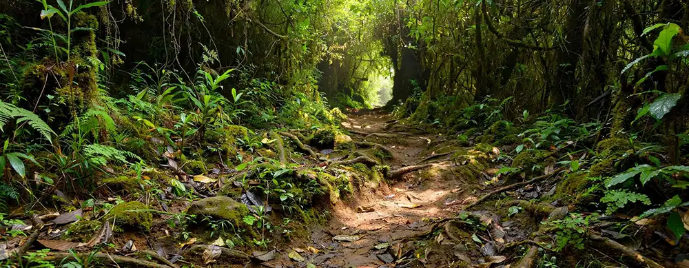 <?php echo Small group pilgrimage to Bhimashankar with temple Darshan ?>