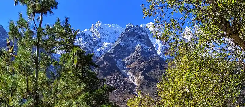 <?php echo Char Dham Pilgrimage from South Africa - Guided Devotional Travel ?>