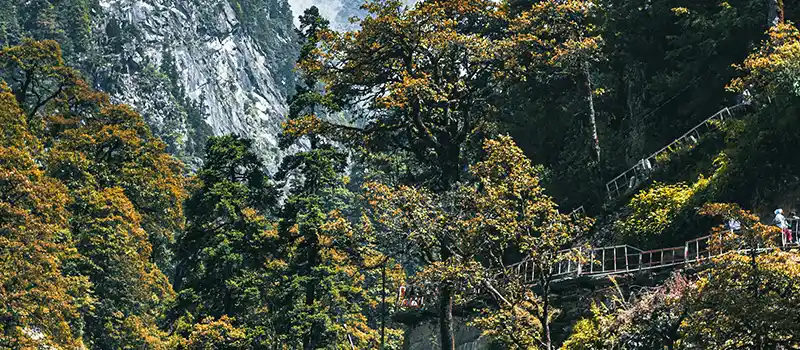 <?php echo Char Dham Tour Packages from United States - Guided Spiritual Pilgrimage ?>