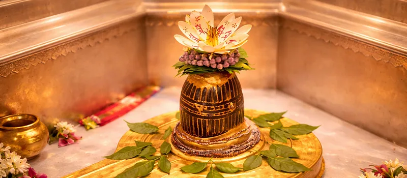 <?php echo Gujarat to Kashi Vishwanath - Best Pilgrimage Tours ?>