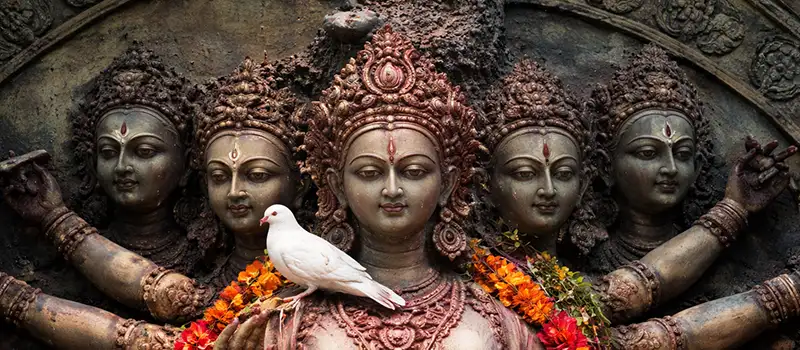 <?php echo Luxury spiritual tour Assam ?>