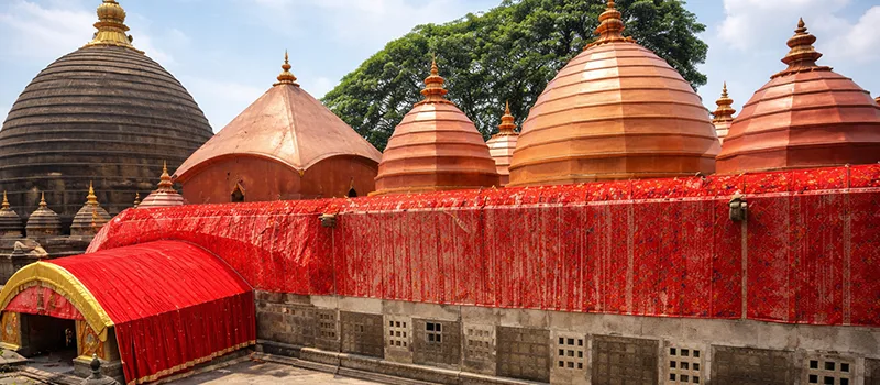 <?php echo Budget friendly Ambubachi darshan ?>