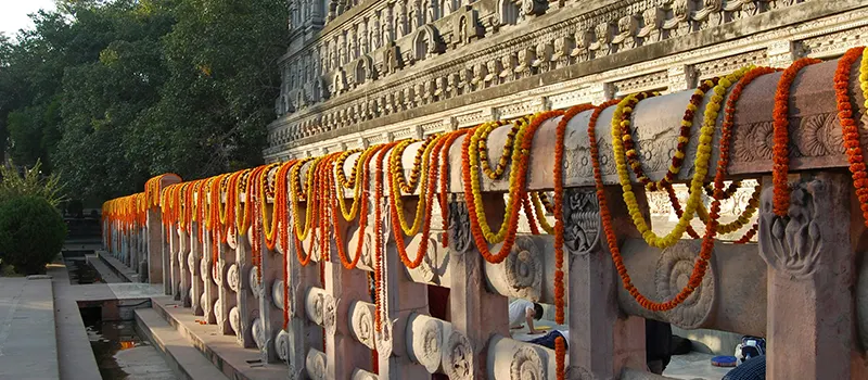 <?php echo Contai to Mahabodhi Temple Bodh Gaya - Full Guided Pilgrimage Tour ?>