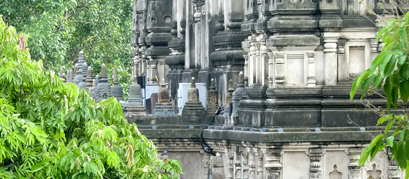 <?php echo Kalyani to Mahabodhi Temple Bodh Gaya - Easy Online Booking ?>