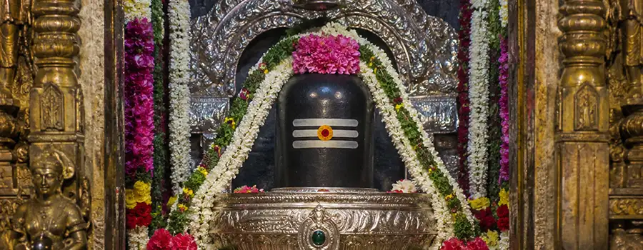 <?php echo Book a Private Madurai Temple and Heritage Tour ?>