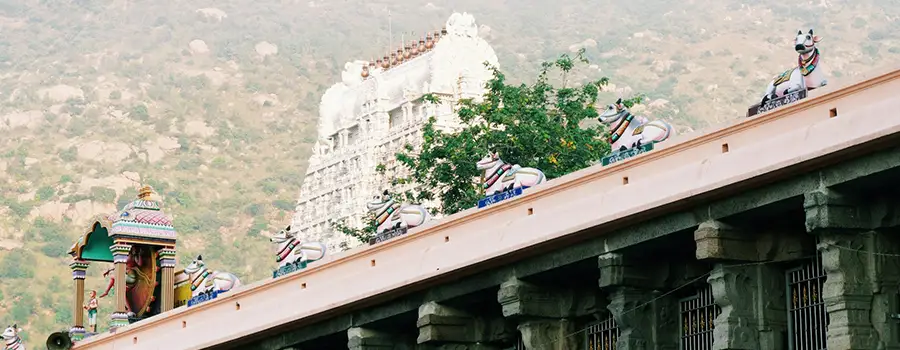 <?php echo Pancha Bhoota Temple Spiritual Tour Packages ?>