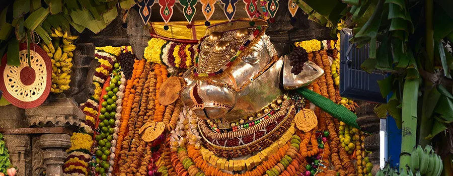 <?php echo Pancha Bhoota Sthalam Tour Packages ?>