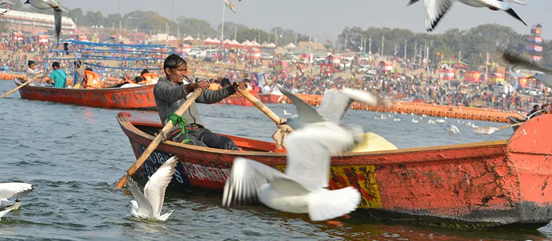 <?php echo Prayagraj Magh Mela High-End Tent Accommodation - Reserve Now ?>