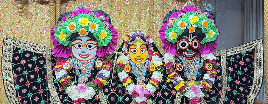 <?php echo Jagannath Puri group tour packages from Jamui ?>