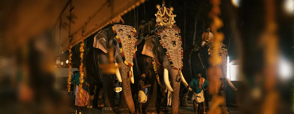 <?php echo Family Spiritual Escape To Sabarimala 3N/4D ?>