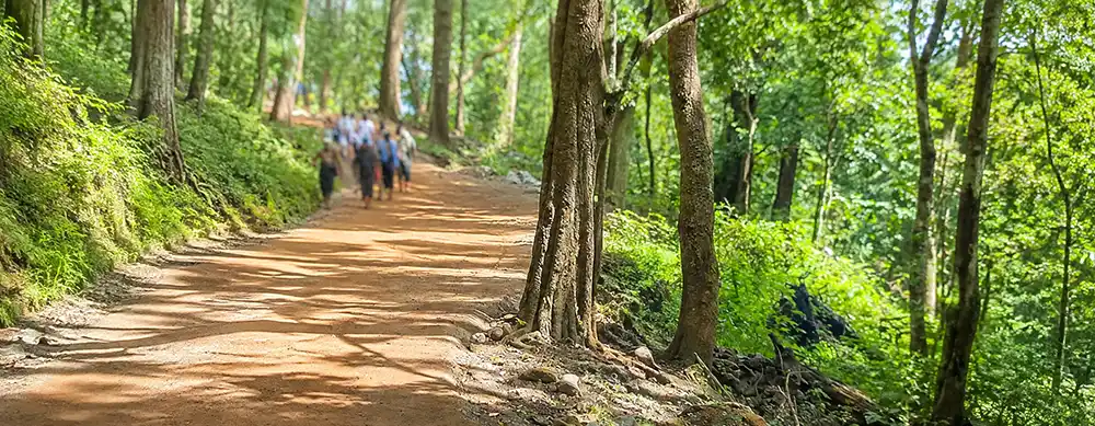 <?php echo Guided Sabarimala Spiritual Tour For New Devotees ?>