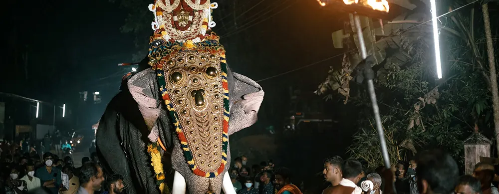 <?php echo Complete Sabarimala Tour Package For Elderly Travellers ?>