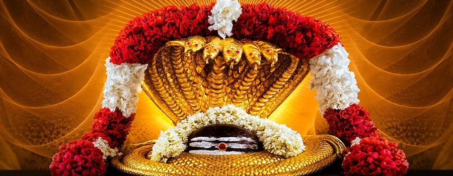 <?php echo Special Alankara Darshan Tour at Srisailam Temple ?>