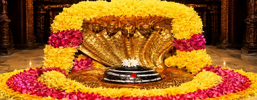 <?php echo Family Tour Package with Alankara Darshan ?>
