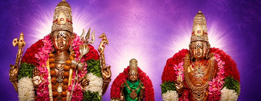 <?php echo VIP Alankara Darshan Package at Mallikarjuna Temple ?>