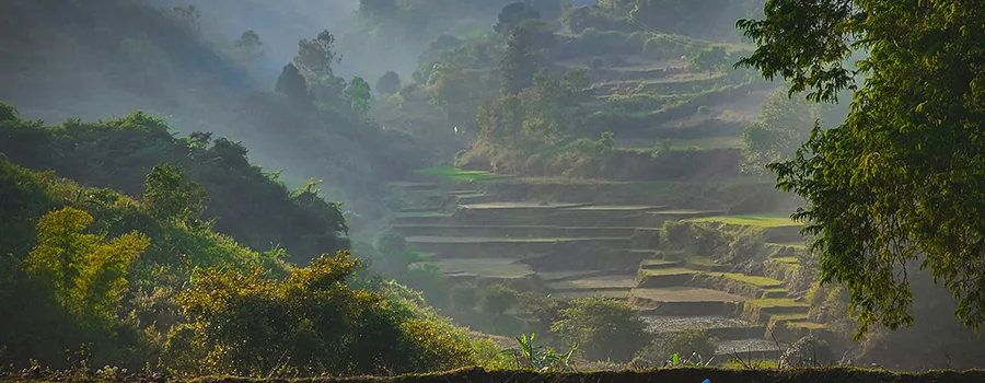 <?php echo Tirupati Pilgrimage Tour from USA ?>