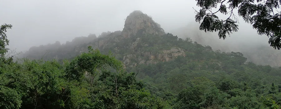 <?php echo Tirupati Darshan Package from Malaysia ?>