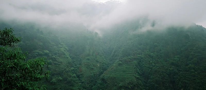 <?php echo Sacred Pilgrimage to Vaishno Devi from Konya ?>