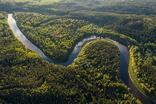 Amazon rainforest wildlife river basin lush jungle adventure tourism travel destination