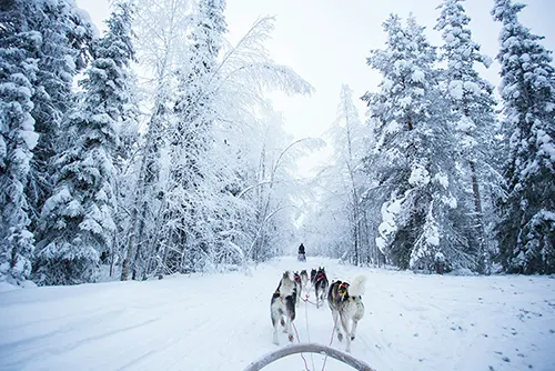 Finland northern lights lakes forests Europe tourism travel destination