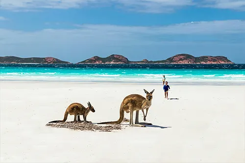 Kangaroo Island Australia wildlife nature tourism travel destination