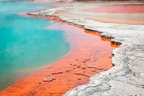 Rotorua geothermal Maori culture tourism travel destination