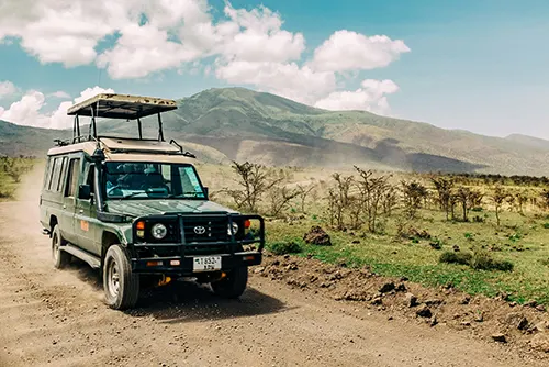 Tanzania safari Serengeti wildlife tourism travel destination