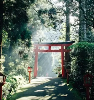 Japan Tour Packages – Explore Modern Cities and Ancient Traditions in Asia
