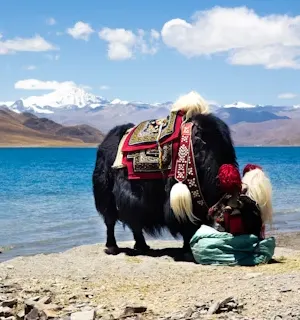 Tibet Tour Packages – Journey to Sacred Monasteries and Roof of the World in Asia