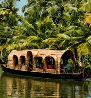 Cruise Kerala’s backwaters and lush green landscapes