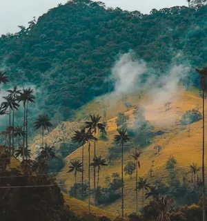 Experience Colombia’s coffee region and colorful colonial towns